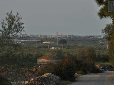Avanziamo ancora, notando come le case diventino sempre pi� rade, fin quando la strada finisce e si perde tra le campagne. Poco male, visto che tornando indietro avvistiamo all'orizzonte l'intera Giovinazzo: un panorama spettacolare, contemplato da un posto dove il tempo sembra essersi veramente fermato